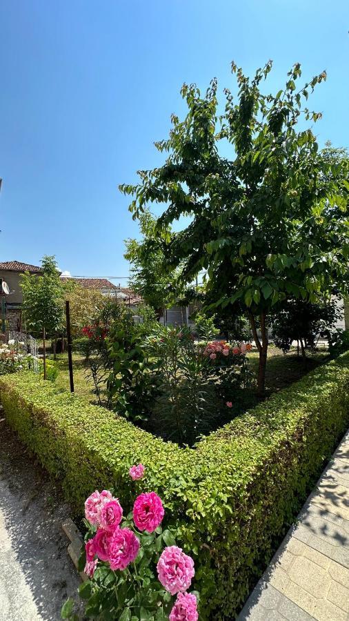 Js House Shkoder 2 Lägenhet Exteriör bild